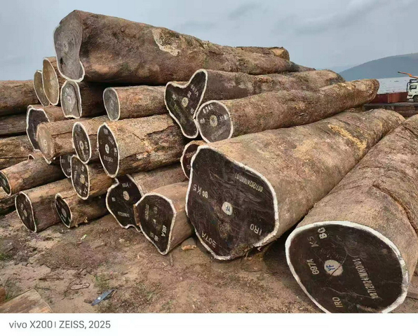 سیاهههای مربوط به IROKO