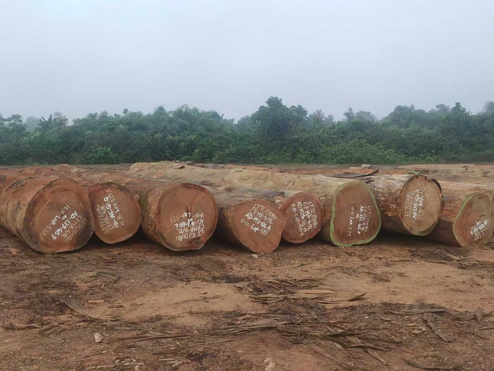 Troncos redondos de azobe