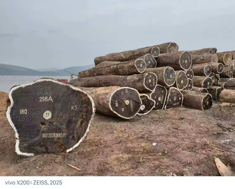 Ироко древесинс�79f5880b648e08c6=Насколько сильна Zebra Wood