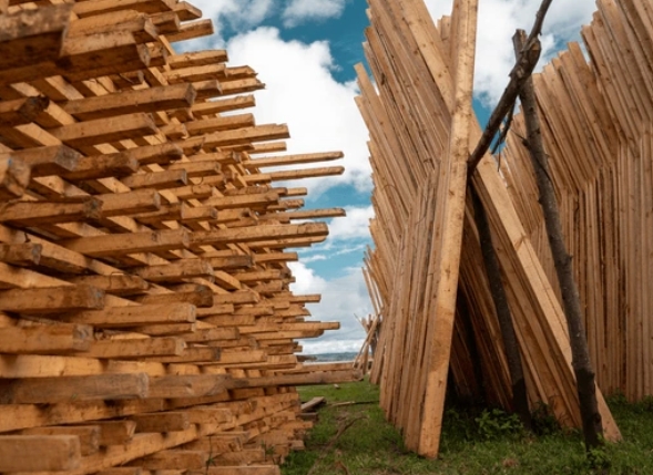 إيطالية OKOUME WOOD Factories.JPG