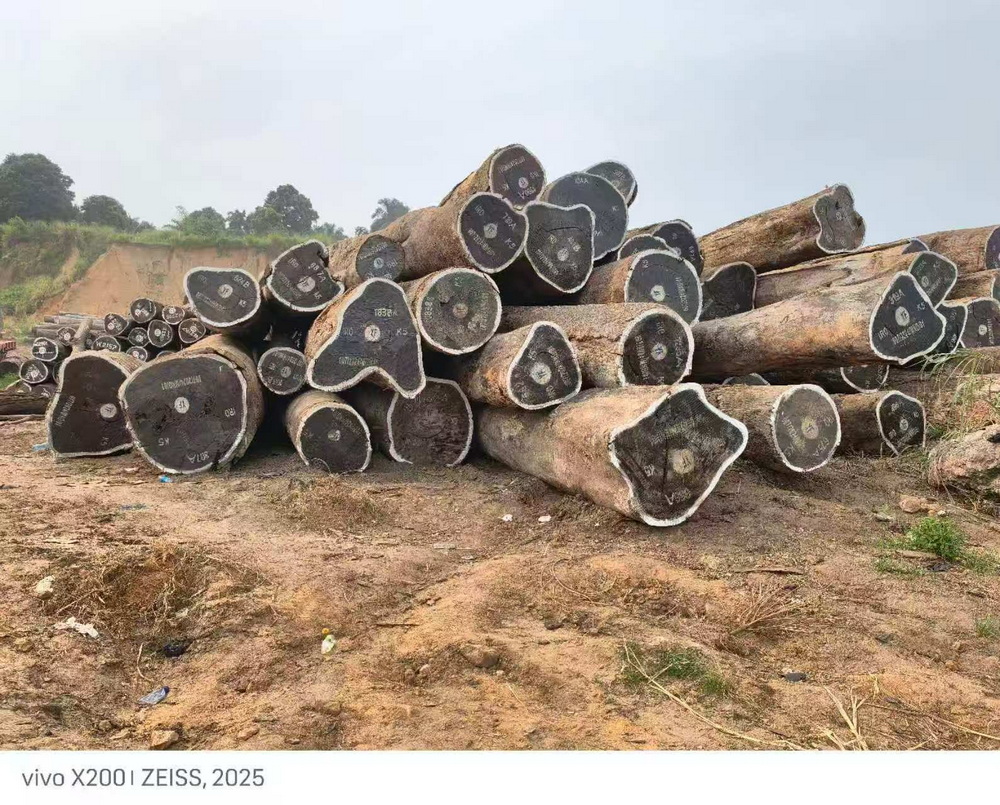 إيروكو لامبر