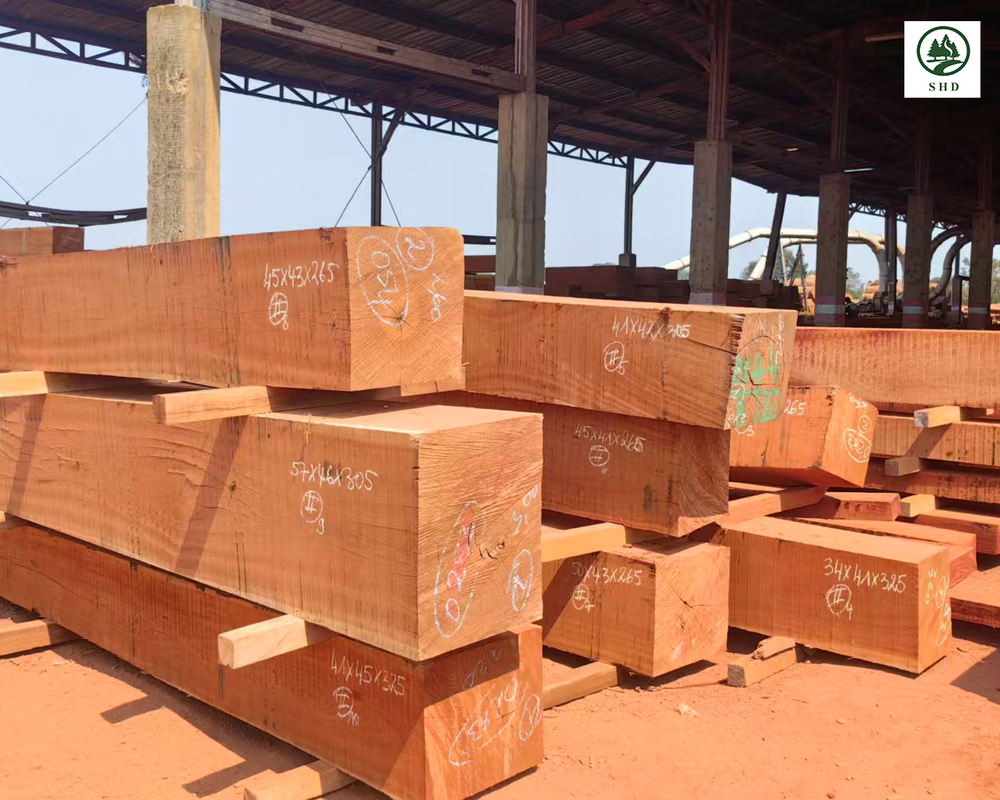 Сапелли Вуд